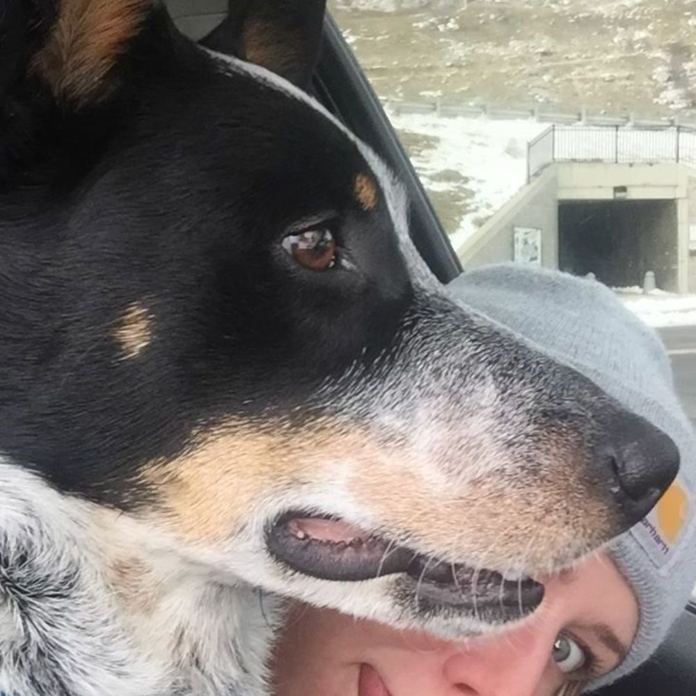 Meet your Posher, Abigail